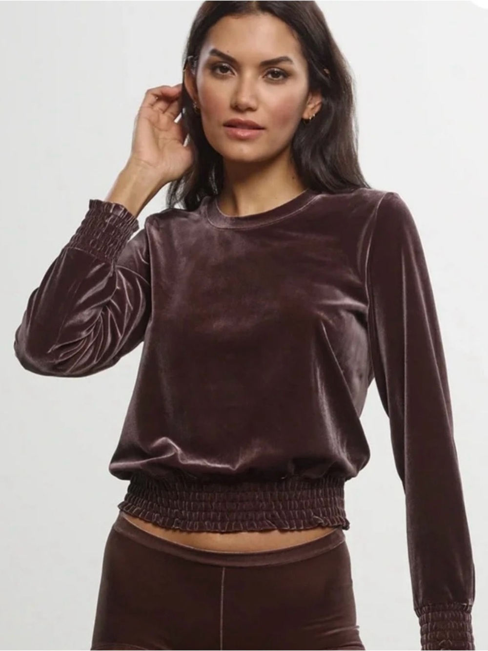 Commando Athleisure Brown Plush Velvet Crewneck Sweatshirt Size Small